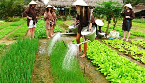 Ri'S House Hoi An Homestay Εξωτερικό φωτογραφία